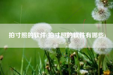 拍寸照的软件(拍寸照的软件有哪些)