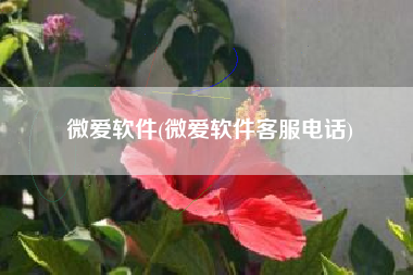 微爱软件(微爱软件客服电话)