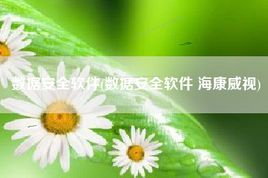数据安全软件(数据安全软件 海康威视)