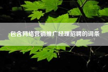 包含网络营销推广经理招聘的词条