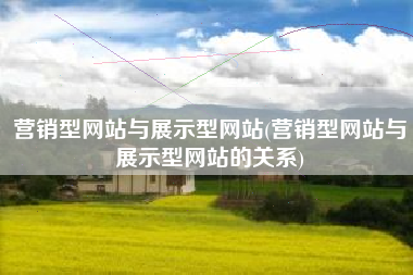 营销型网站与展示型网站(营销型网站与展示型网站的关系)
