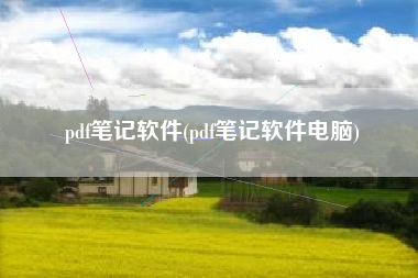 pdf笔记软件(pdf笔记软件电脑)