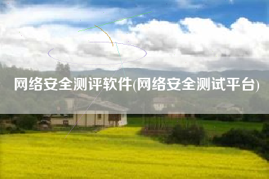 网络安全测评软件(网络安全测试平台)
