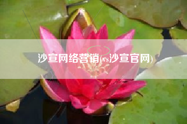 沙宣网络营销(vs沙宣官网)