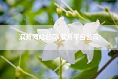 滨州网站公司(滨州平台公司)