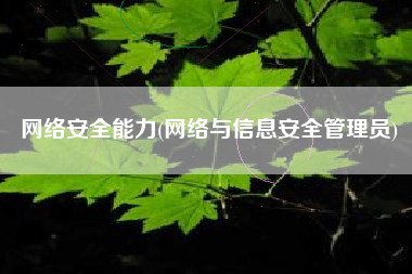 网络安全能力(网络与信息安全管理员)