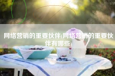 网络营销的重要伙伴(网络营销的重要伙伴有哪些)