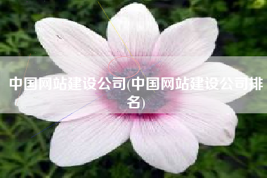 中国网站建设公司(中国网站建设公司排名)