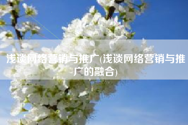 浅谈网络营销与推广(浅谈网络营销与推广的融合)