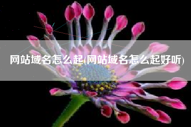 网站域名怎么起(网站域名怎么起好听)