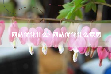 网站优化什么? 网站优化什么意思