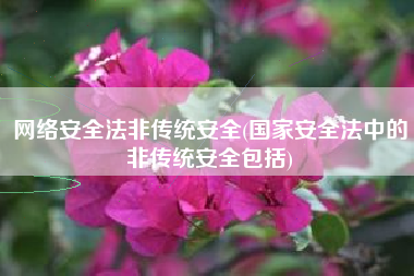网络安全法非传统安全(国家安全法中的非传统安全包括)