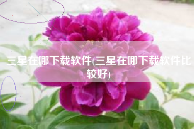三星在哪下载软件(三星在哪下载软件比较好)