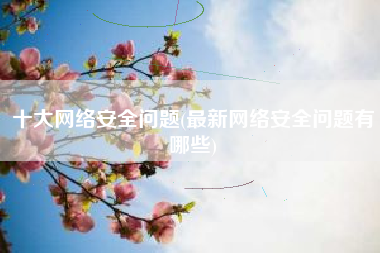 十大网络安全问题(最新网络安全问题有哪些)