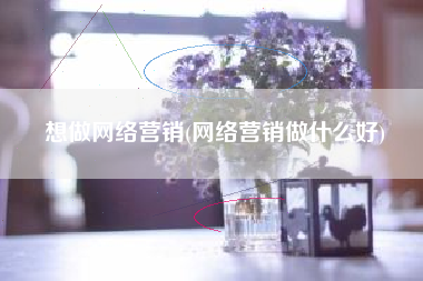 想做网络营销(网络营销做什么好)