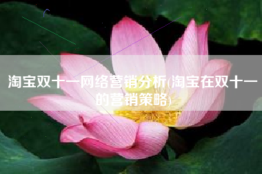 淘宝双十一网络营销分析(淘宝在双十一的营销策略)