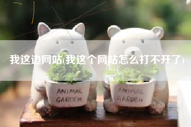 我这边网站(我这个网站怎么打不开了)
