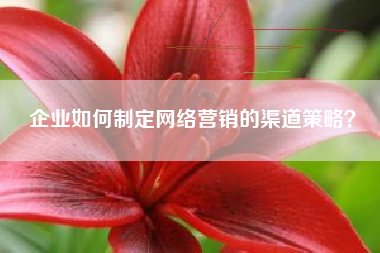 企业如何制定网络营销的渠道策略？