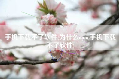 手机下载不了软件(为什么oppo手机下载不了软件)