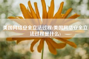 美国网络安全立法过程(美国网络安全立法过程是什么)