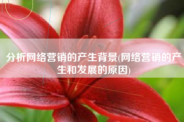 分析网络营销的产生背景(网络营销的产生和发展的原因)
