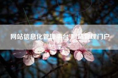 网站信息化管理平台 网站管理门户