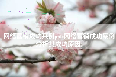 网络营销成功案例ppt(网络营销成功案例分析其成功原因)