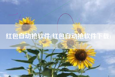 红包自动抢软件(红包自动抢软件下载)