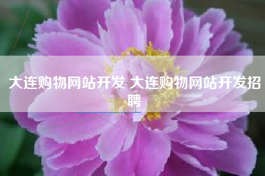 大连购物网站开发 大连购物网站开发招聘