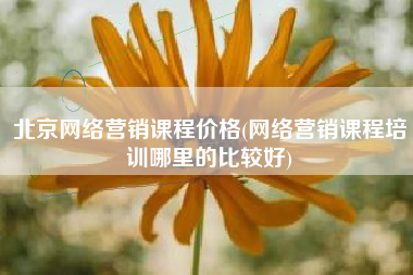 北京网络营销课程价格(网络营销课程培训哪里的比较好)