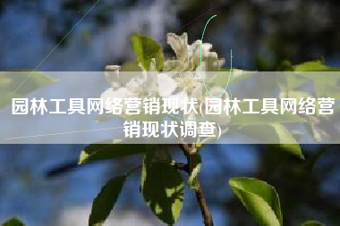 园林工具网络营销现状(园林工具网络营销现状调查)