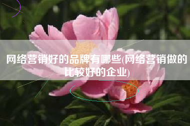 网络营销好的品牌有哪些(网络营销做的比较好的企业)