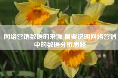 网络营销数据的来源 简要说明网络营销中的数据分析思路