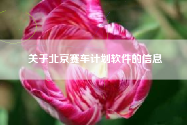 关于北京赛车计划软件的信息
