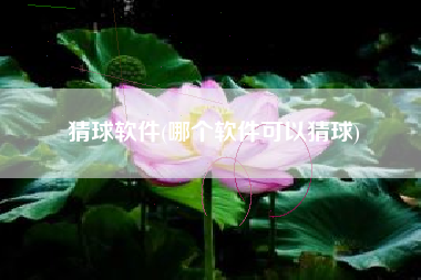 猜球软件(哪个软件可以猜球)