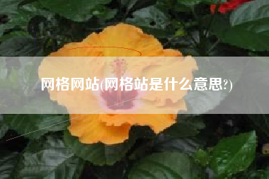 网格网站(网格站是什么意思?)