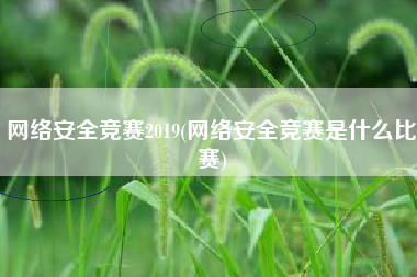 网络安全竞赛2019(网络安全竞赛是什么比赛)