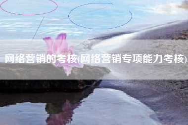 网络营销的考核(网络营销专项能力考核)