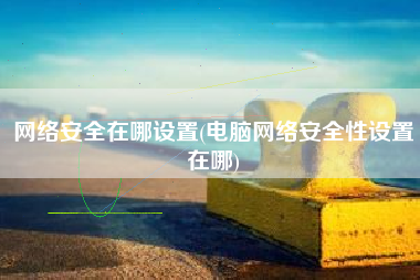 网络安全在哪设置(电脑网络安全性设置在哪)