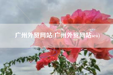 广州外贸网站(广州外贸网站seo)