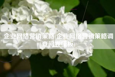 企业网络营销策略(企业网络营销策略调查问卷模板)