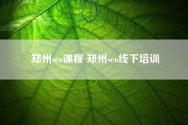 郑州seo课程 郑州seo线下培训