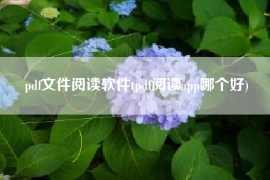 pdf文件阅读软件(pdf阅读app哪个好)