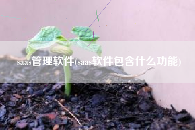 saas管理软件(saas软件包含什么功能)