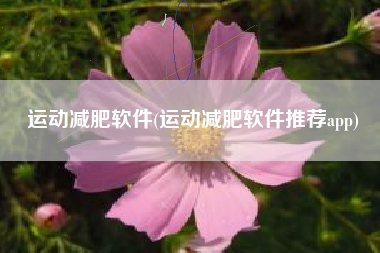 运动减肥软件(运动减肥软件推荐app)