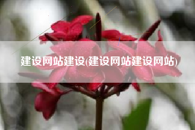 建设网站建设(建设网站建设网站)
