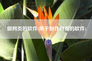 做网页的软件(用于制作网页的软件)