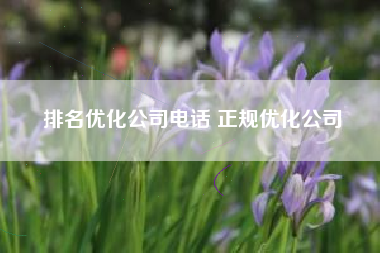 排名优化公司电话 正规优化公司