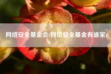 网络安全基金会(网络安全基金有谁家)