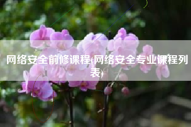 网络安全前修课程(网络安全专业课程列表)